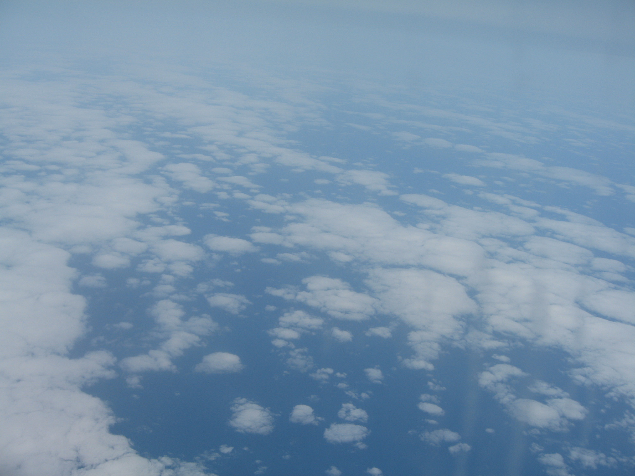 Pacific Coast 495.jpg